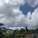 발리마린키즈 | [발리 우붓]더 카욘 정글 리조트: 조용한 힐링의 끝판왕 노키즈 럭셔리 리조트 내돈내산 솔직 숙박 후기