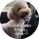 꼼신 | [아산 꼼장어] 탕정 지중해마을 꼼장어전문점 꼼신 솔직후기