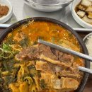 보백관 두류점 | [대구] 대구 뼈해장국 맛집 '보백관 두류점' 내돈내산후기