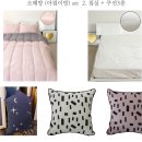 시스토리 이미지