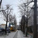 미카야 | 경복궁역 데이트 | 일본인이 운영하는 일식당 미카야, 한옥 북카페 베란다