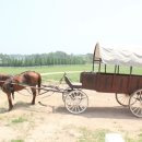 태성목장 이미지