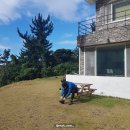 대피소 울릉 | 여행4] 송곳봉이 보이는 2층 전원주택에서 캠핑과 숙박이 가능한 1석2조 울릉도 숙소 후기 | &#39;대피소 울릉&#39;