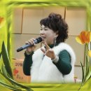 팽고 팽고 이미지