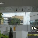 나성동_에스제이타워앞BRT 이미지