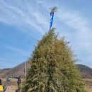 신송산2구 이미지