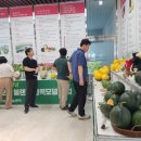 소과담