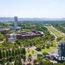 영남대학교 이미지