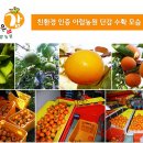 고능농장 이미지