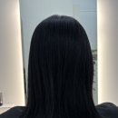 살랑살랑 반려견미용실 이미지