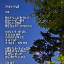 백영옥