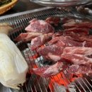 까시고기 이미지
