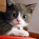 라이프 동물병원 이미지