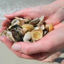 개금2동-4 이미지