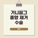 금샘동물병원 이미지