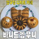 빵굽는곰 | 인스타 맛집인 줄 알고 갔다가 빵에 진심인 거 들켜버린 집 — 빠니드엠무니 (압구정 베이커리카페)