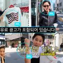오일리브 이미지