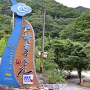 하늘구름길캠핑장 티스토리