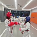 아이킹스태권도 이미지