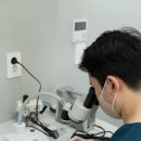 가능치과기공소 이미지