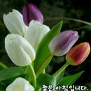 월요일 이미지