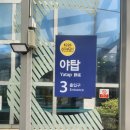 야탑든든한치과의원 | 분당야탑든든한치과의원사랑니충치•스켈링잇몸진료받기