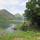 쑥부쟁이(용산저수지)둘레길 이미지