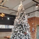 ELparaiso365(엘파라이소365) 이미지