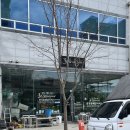 꽃집아가씨 | 전주 신시가지 꽃집 효자동 꽃배달 화분 근조화환 꽃집아가씨 방문후기