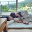 루미아호텔앤리조트 네이버블로그