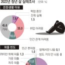 1인가구 절반은 '빈곤'…여성 빈곤율이 더 높다 / SBS “전국 ‘은둔형 외톨이’ 24만명 추산”.. 이미지