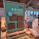 파리바게뜨 우정점 | [제주도 기념품 추천] 제주 동화마을 파리바게뜨 한정판 '몽생이샌드' 구매 후기!