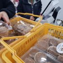 상림목장 이미지