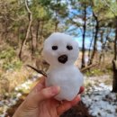 오일장형제 이미지