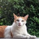 능동 주민센터 이미지