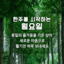 당신이 말하는 대로~ 이미지