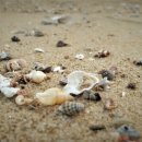 오션로프트 이미지