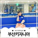 쓰담쓰담약국 | 부산 키자니아 할인 신상체험.주차.꿀팁까지 완벽정리