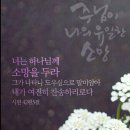 닛시 이미지