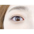 에드속눈썹