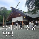 복떡 | 삿포로 홋카이도 신궁에서 복을 먹고 왔습니다 | 진짜 복떡 후기