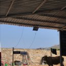 포동목장 이미지