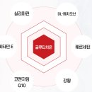 항산화제의 끝판왕! 아나포유 옥스탑 급여 후기!