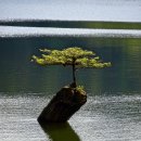 알찬농장 이미지