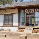 포레스트 이미지