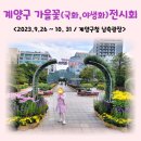 구청 남측광장 이미지