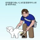 건강종합몰 | 반려동물 건강검진 / 강아지 소변검사 키트 "Cym702"로 집에서 간편하게 체크!