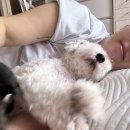 (주)르우엘 이미지