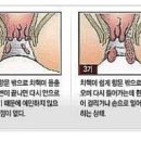 세종코코약국 이미지