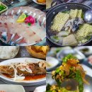 부두로 | 제주 고등어회 모슬포항 부두식당 후기 제주도 회 포장